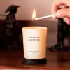 Vela perfumada Cerería Mollá Provence Lavender (70 gr)