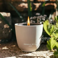 Vela perfumada Cerería Mollá Stone Citronella & Mint (550 gr)